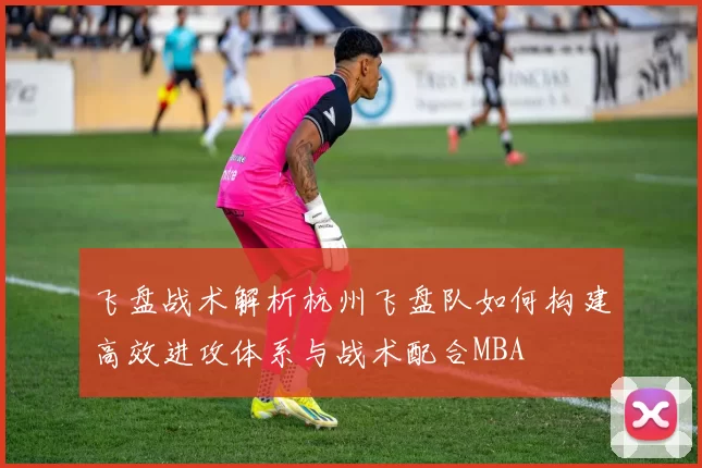 飞盘战术解析杭州飞盘队如何构建高效进攻体系与战术配合MBA