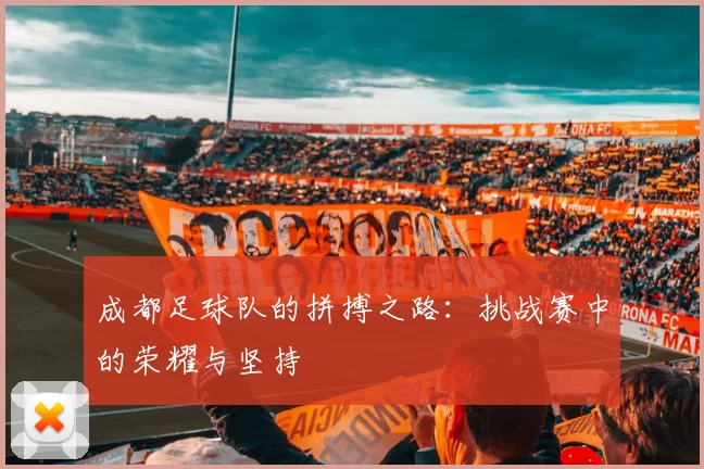 成都足球队的拼搏之路：挑战赛中的荣耀与坚持
