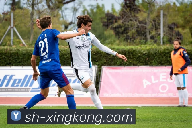 星空官网APP 体育赛事宣传图